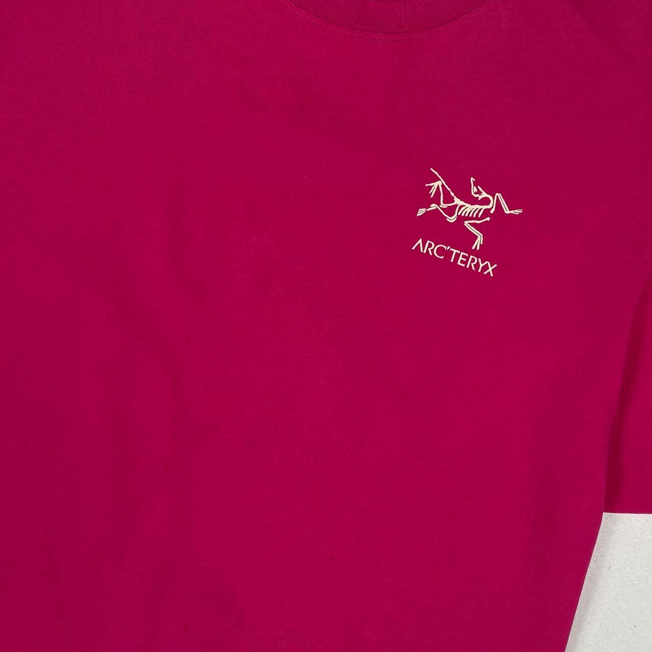 Authentic Arcteryx T Shirt (M)